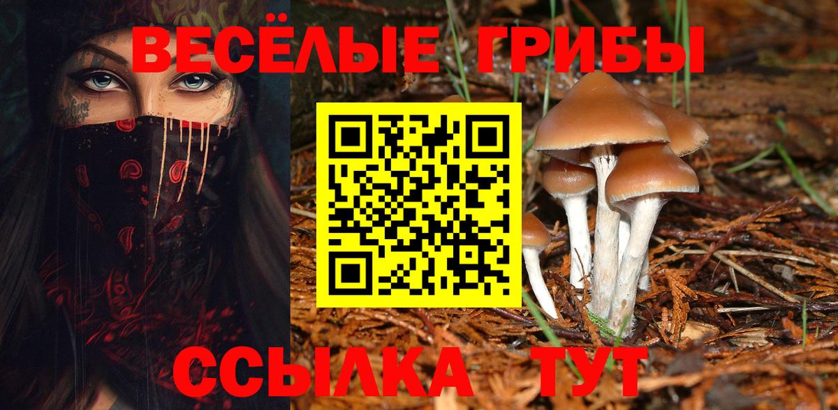 Псилоцибиновые грибы Magic Shrooms  как найти наркотики  Кунгур  Галлюциногенные грибы Psilocybine cubensis  Вход с VPN 