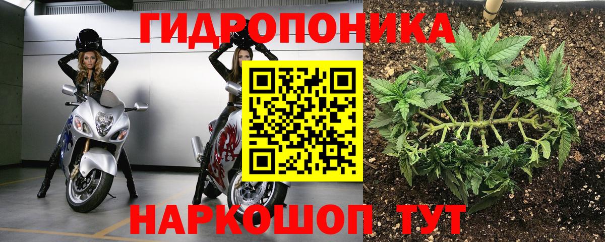 A PVP Кунгур